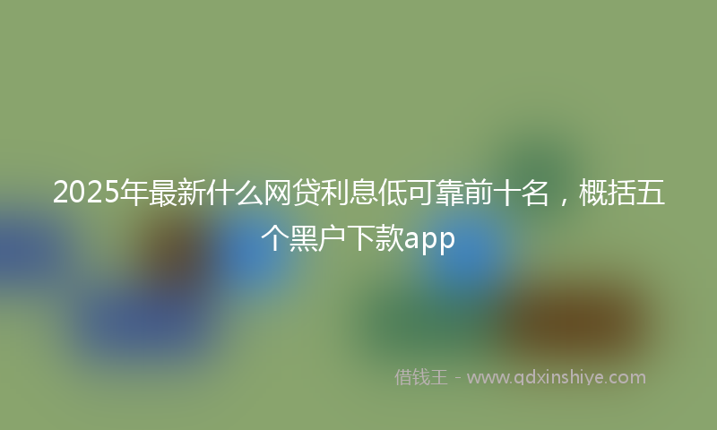 2025年最新什么网贷利息低可靠前十名，概括五个黑户下款app