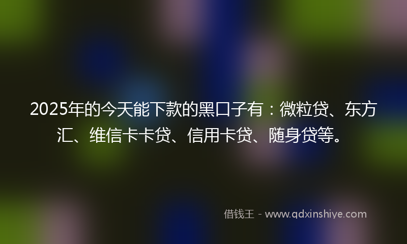 2025年的今天能下款的黑口子有：微粒贷、东方汇、维信卡卡贷、信用卡贷、随身贷等。