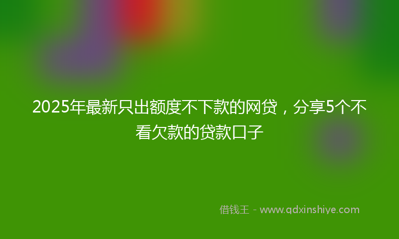2025年最新只出额度不下款的网贷，分享5个不看欠款的贷款口子