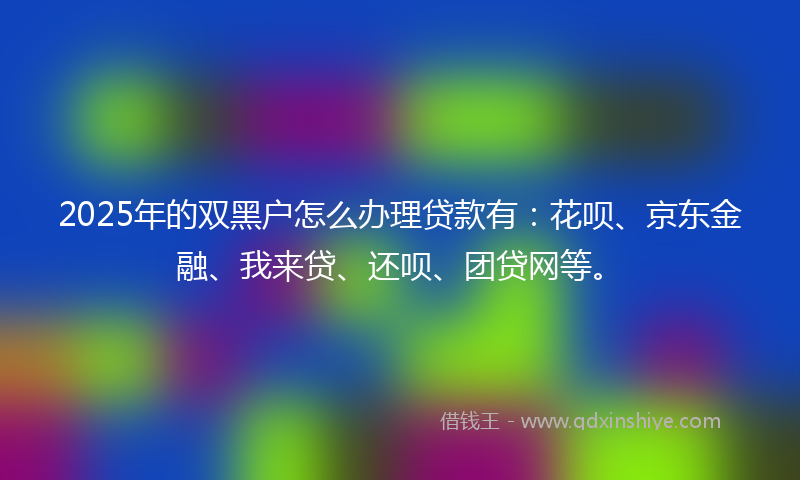 2025年的双黑户怎么办理贷款有：花呗、京东金融、我来贷、还呗、团贷网等。