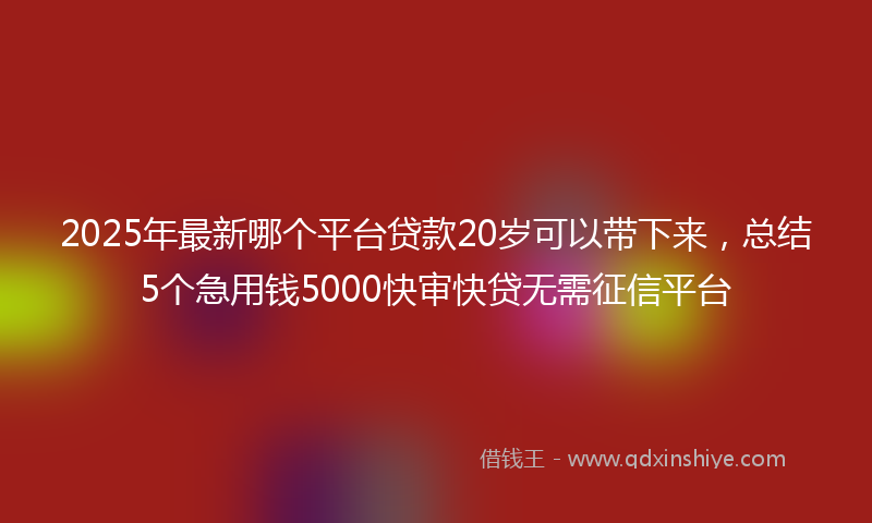 2025年最新哪个平台贷款20岁可以带下来，总结5个急用钱5000快审快贷无需征信平台