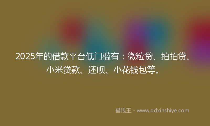 2025年的借款平台低门槛有：微粒贷、拍拍贷、小米贷款、还呗、小花钱包等。