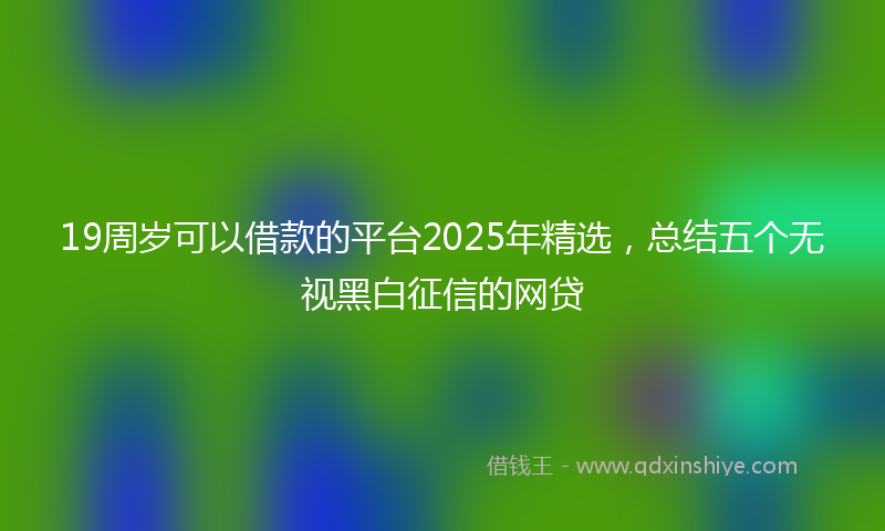 19周岁可以借款的平台2025年精选，总结五个无视黑白征信的网贷