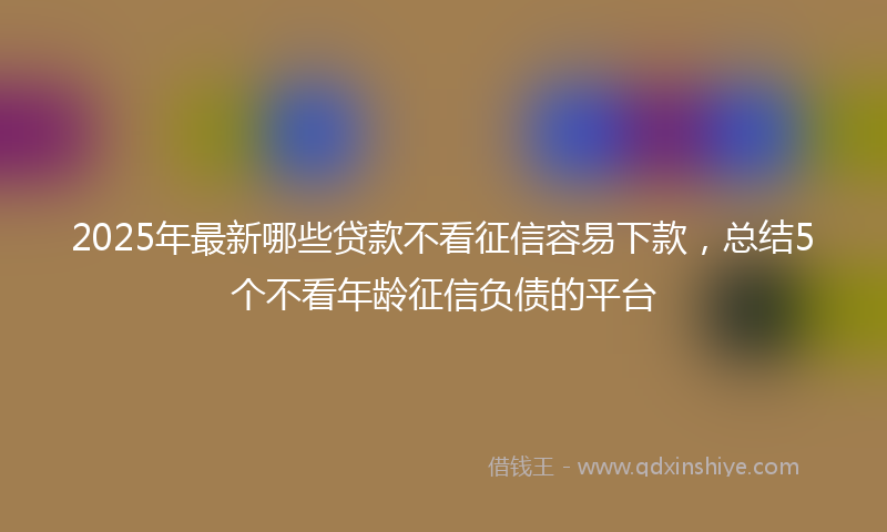 2025年最新哪些贷款不看征信容易下款，总结5个不看年龄征信负债的平台