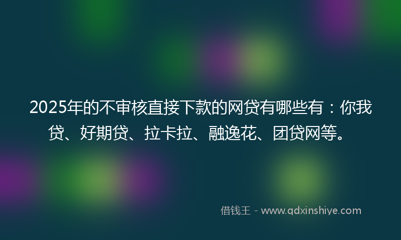 2025年的不审核直接下款的网贷有哪些有：你我贷、好期贷、拉卡拉、融逸花、团贷网等。
