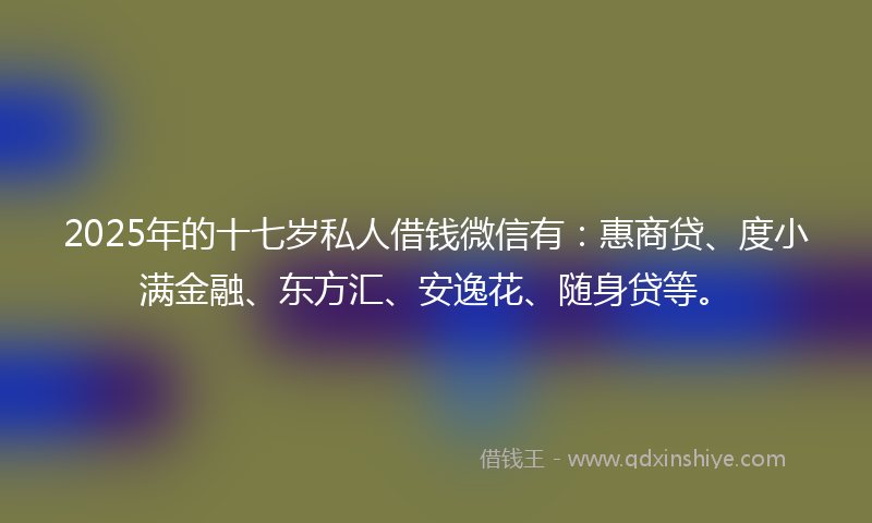 2025年的十七岁私人借钱微信有：惠商贷、度小满金融、东方汇、安逸花、随身贷等。