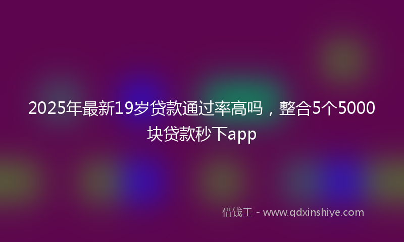 2025年最新19岁贷款通过率高吗，整合5个5000块贷款秒下app