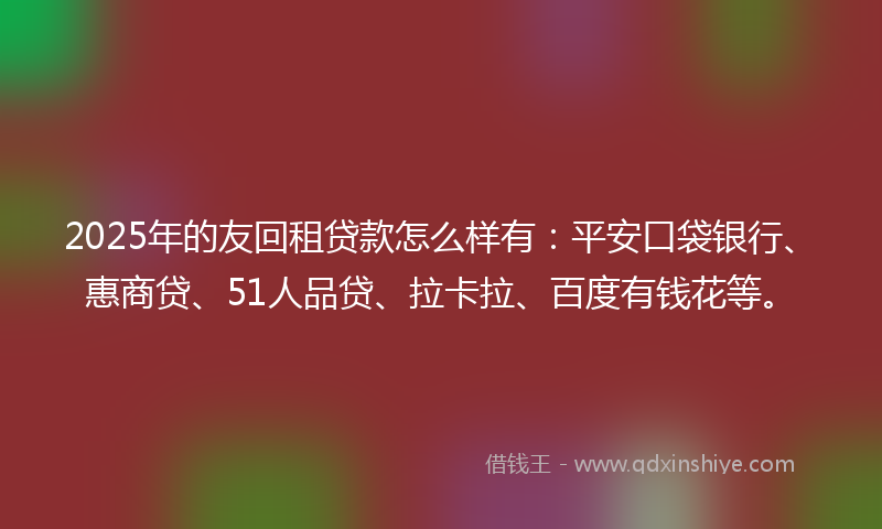 2025年的友回租贷款怎么样有：平安口袋银行、惠商贷、51人品贷、拉卡拉、百度有钱花等。