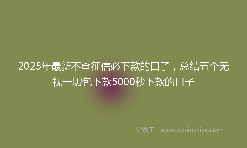 2025年最新不查征信必下款的口子，总结五个无视一切包下款5000秒下款的口子