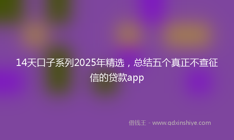 14天口子系列2025年精选，总结五个真正不查征信的贷款app