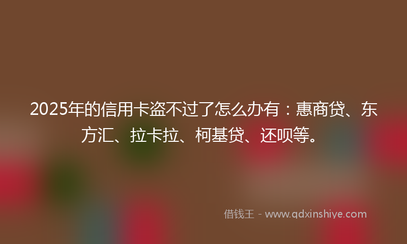 2025年的信用卡盗不过了怎么办有：惠商贷、东方汇、拉卡拉、柯基贷、还呗等。