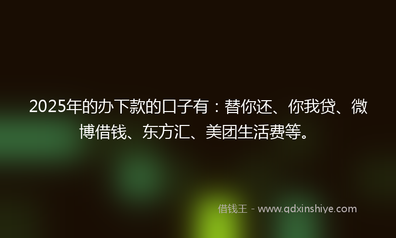 2025年的办下款的口子有：替你还、你我贷、微博借钱、东方汇、美团生活费等。
