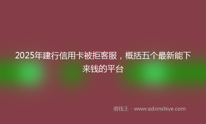 2025年建行信用卡被拒客服，概括五个最新能下来钱的平台