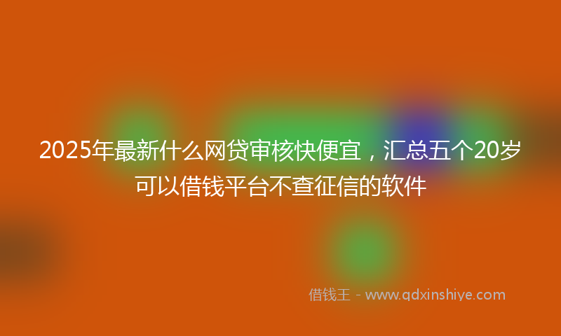 2025年最新什么网贷审核快便宜，汇总五个20岁可以借钱平台不查征信的软件
