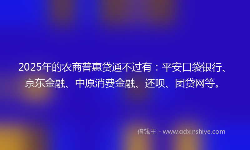 2025年的农商普惠贷通不过有：平安口袋银行、京东金融、中原消费金融、还呗、团贷网等。