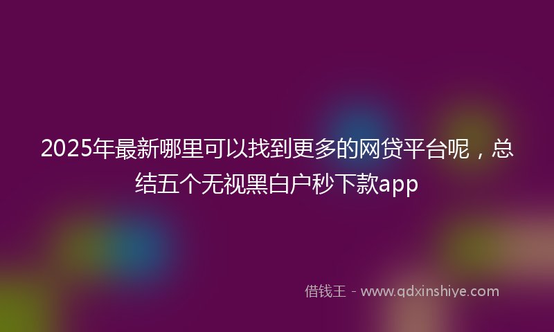 2025年最新哪里可以找到更多的网贷平台呢，总结五个无视黑白户秒下款app