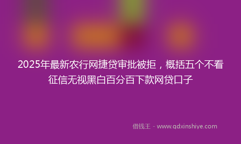 2025年最新农行网捷贷审批被拒，概括五个不看征信无视黑白百分百下款网贷口子