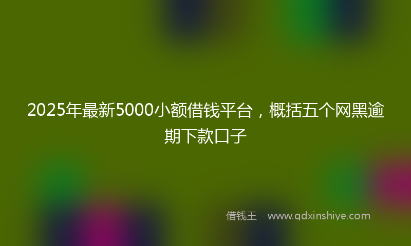 2025年最新5000小额借钱平台，概括五个网黑逾期下款口子