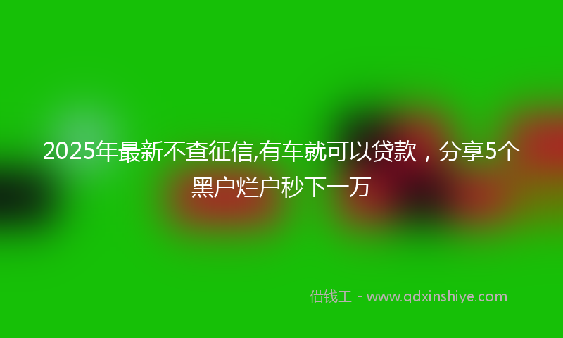 2025年最新不查征信,有车就可以贷款，分享5个黑户烂户秒下一万