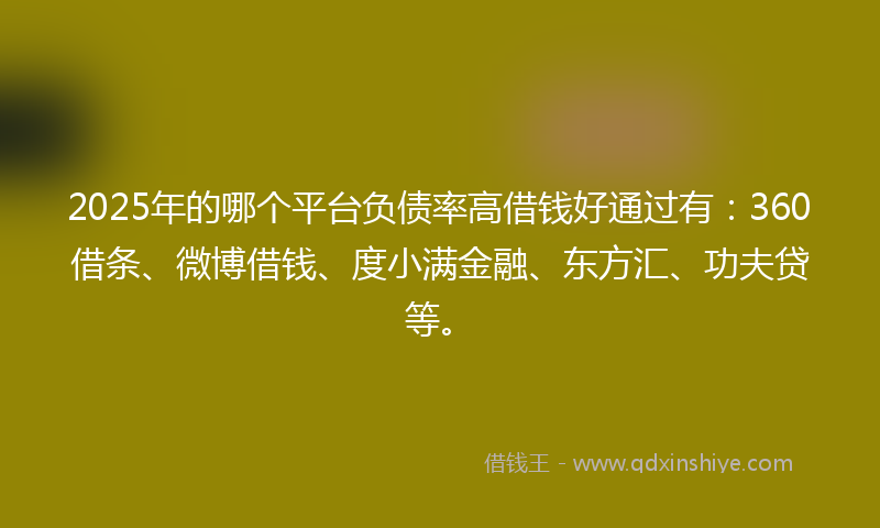 2025年的哪个平台负债率高借钱好通过有：360借条、微博借钱、度小满金融、东方汇、功夫贷等。