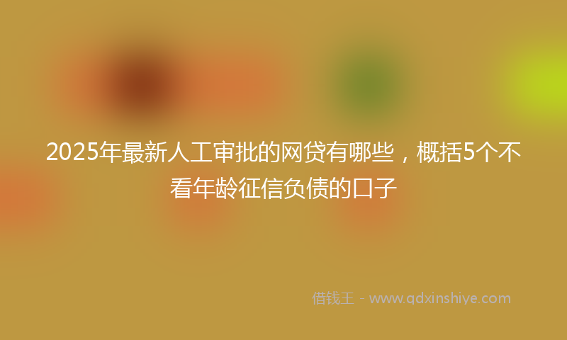 2025年最新人工审批的网贷有哪些，概括5个不看年龄征信负债的口子