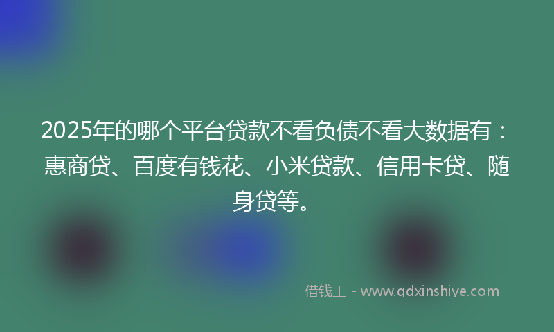 2025年的哪个平台贷款不看负债不看大数据有：惠商贷、百度有钱花、小米贷款、信用卡贷、随身贷等。