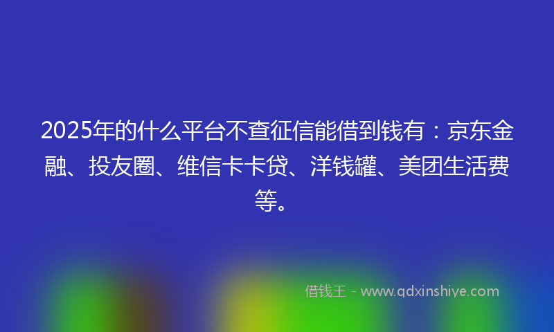 2025年的什么平台不查征信能借到钱有：京东金融、投友圈、维信卡卡贷、洋钱罐、美团生活费等。