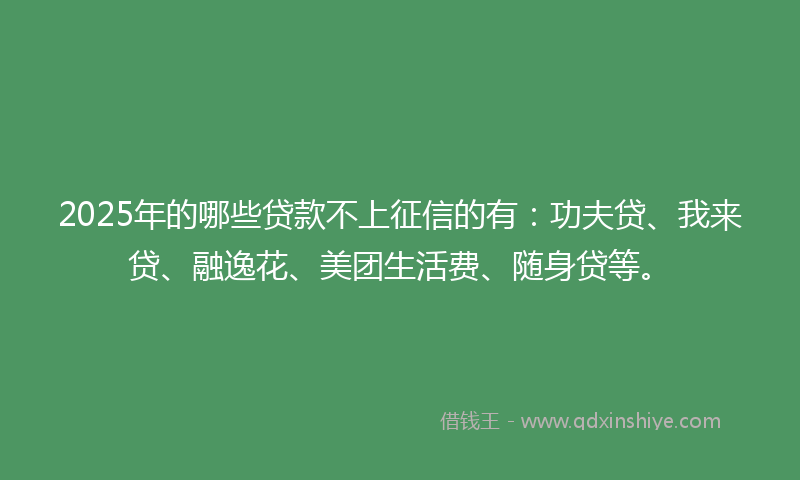 2025年的哪些贷款不上征信的有：功夫贷、我来贷、融逸花、美团生活费、随身贷等。