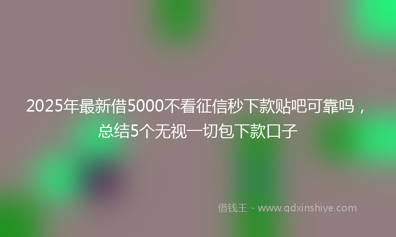 2025年最新借5000不看征信秒下款贴吧可靠吗，总结5个无视一切包下款口子