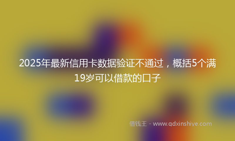 2025年最新信用卡数据验证不通过，概括5个满19岁可以借款的口子
