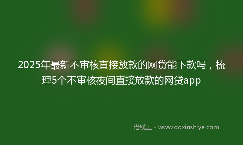 2025年最新不审核直接放款的网贷能下款吗，梳理5个不审核夜间直接放款的网贷app