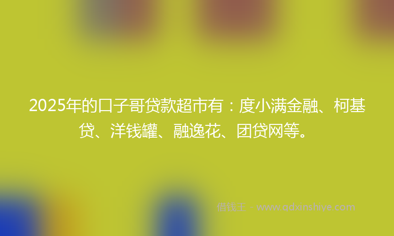 2025年的口子哥贷款超市有：度小满金融、柯基贷、洋钱罐、融逸花、团贷网等。