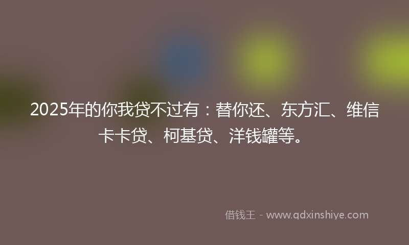 2025年的你我贷不过有：替你还、东方汇、维信卡卡贷、柯基贷、洋钱罐等。
