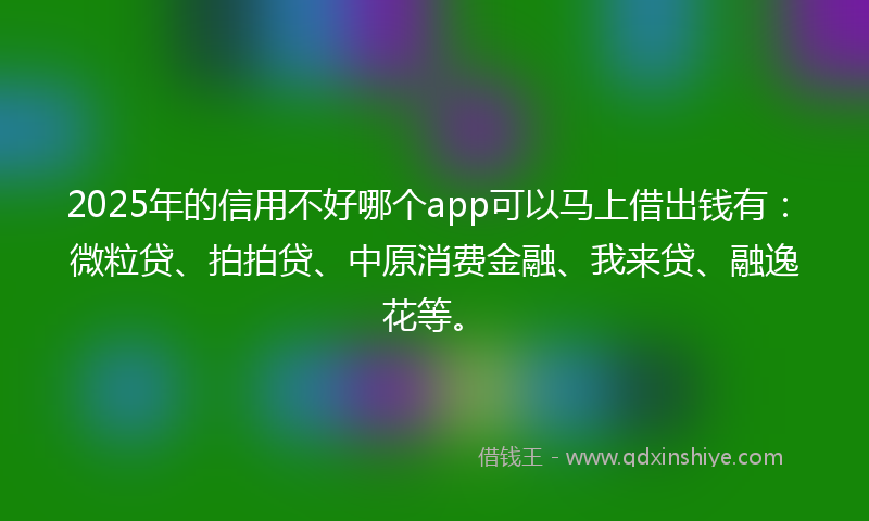 2025年的信用不好哪个app可以马上借出钱有：微粒贷、拍拍贷、中原消费金融、我来贷、融逸花等。