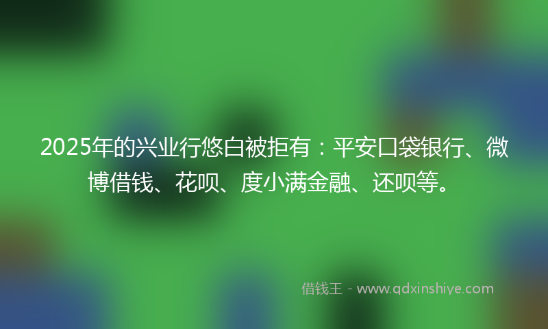2025年的兴业行悠白被拒有：平安口袋银行、微博借钱、花呗、度小满金融、还呗等。