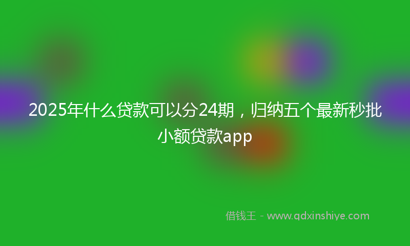 2025年什么贷款可以分24期，归纳五个最新秒批小额贷款app