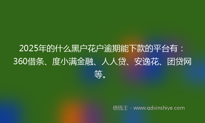 2025年的什么黑户花户逾期能下款的平台有：360借条、度小满金融、人人贷、安逸花、团贷网等。