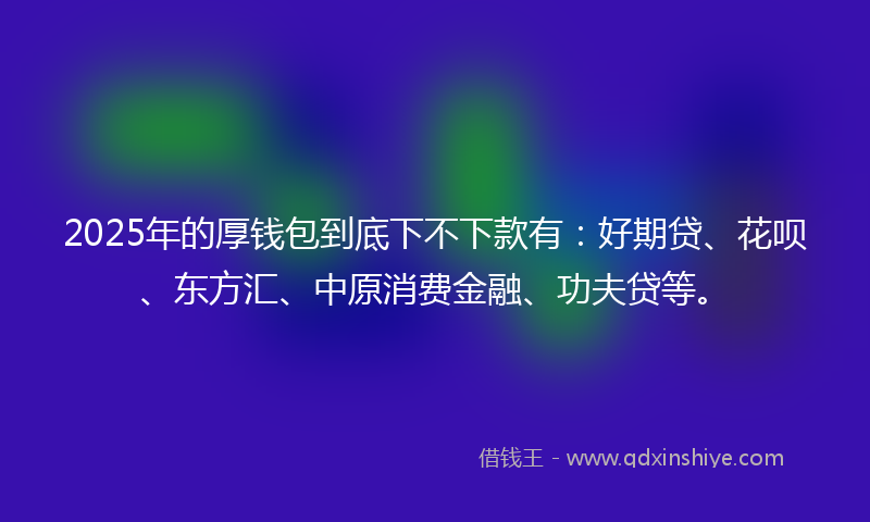 2025年的厚钱包到底下不下款有：好期贷、花呗、东方汇、中原消费金融、功夫贷等。