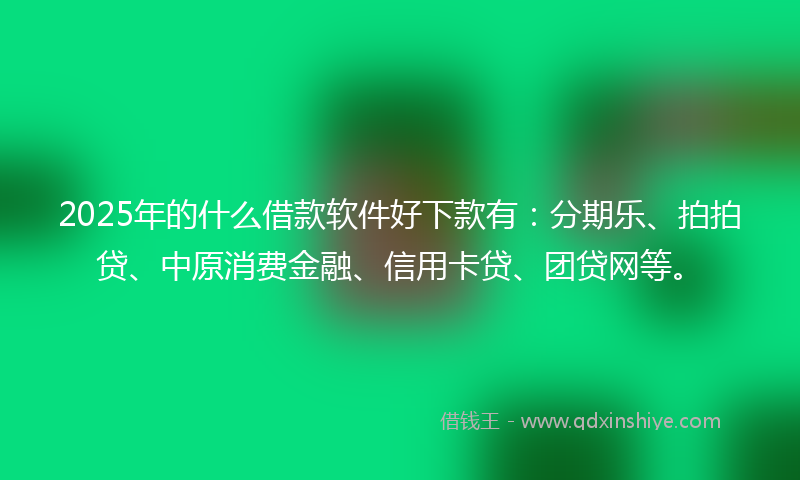2025年的什么借款软件好下款有：分期乐、拍拍贷、中原消费金融、信用卡贷、团贷网等。