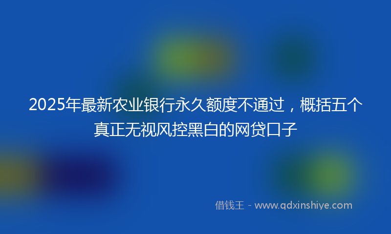 2025年最新农业银行永久额度不通过，概括五个真正无视风控黑白的网贷口子