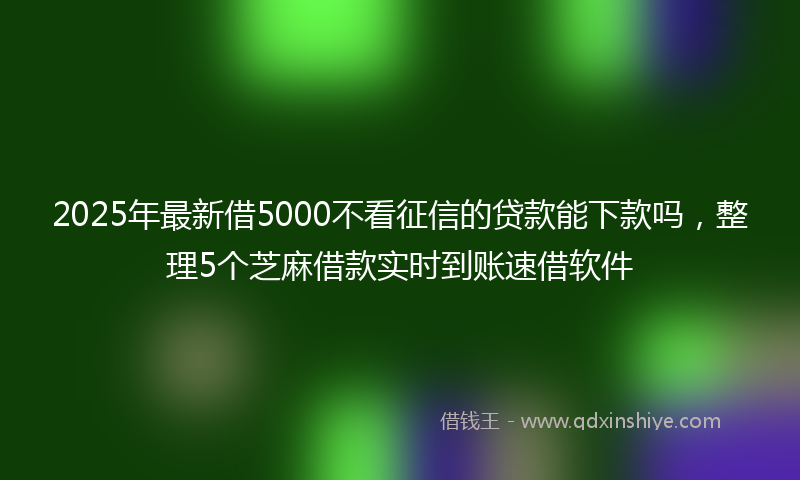 2025年最新借5000不看征信的贷款能下款吗，整理5个芝麻借款实时到账速借软件