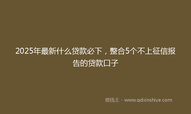 2025年最新什么贷款必下，整合5个不上征信报告的贷款口子
