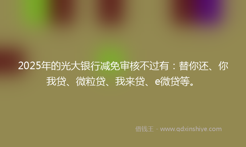 2025年的光大银行减免审核不过有：替你还、你我贷、微粒贷、我来贷、e微贷等。
