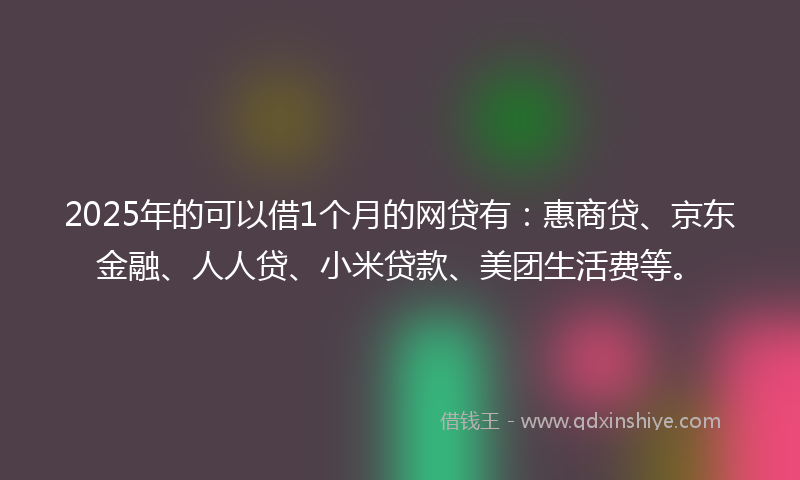 2025年的可以借1个月的网贷有：惠商贷、京东金融、人人贷、小米贷款、美团生活费等。