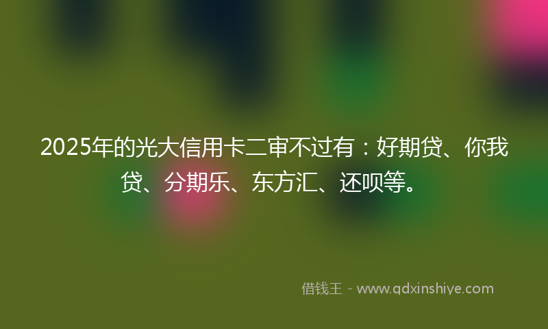 2025年的光大信用卡二审不过有：好期贷、你我贷、分期乐、东方汇、还呗等。