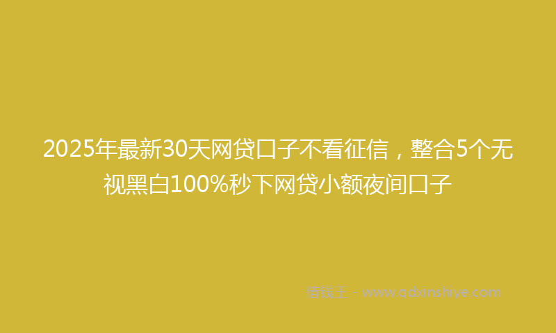 2025年最新30天网贷口子不看征信，整合5个无视黑白100%秒下网贷小额夜间口子