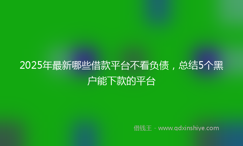 2025年最新哪些借款平台不看负债，总结5个黑户能下款的平台
