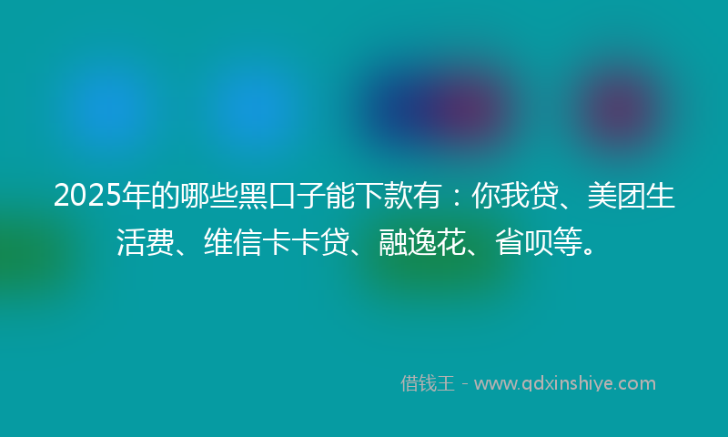 2025年的哪些黑口子能下款有：你我贷、美团生活费、维信卡卡贷、融逸花、省呗等。