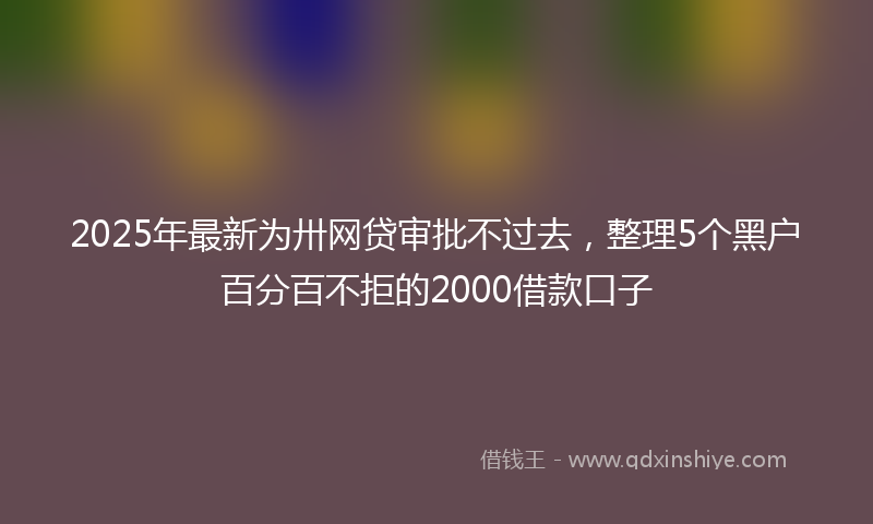 2025年最新为卅网贷审批不过去，整理5个黑户百分百不拒的2000借款口子