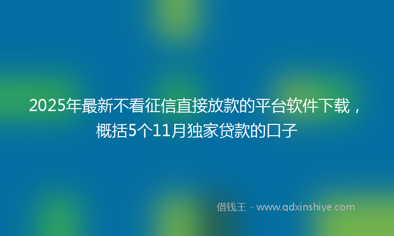 2025年最新不看征信直接放款的平台软件下载，概括5个11月独家贷款的口子